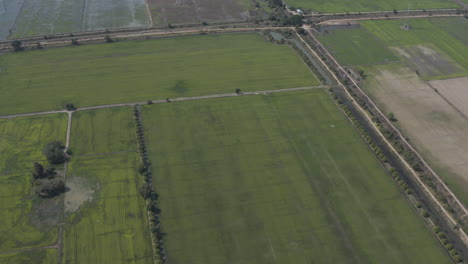 Fliegen-Sie-Langsam-Darüber-Und-Entdecken-Sie-Endlose-Reisfelder-In-Kambodscha