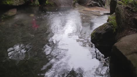 Regen-Fällt-In-Zeitlupe-Auf-Einen-Kleinen-Teich-In-Vancouver,-BC,-Kanada