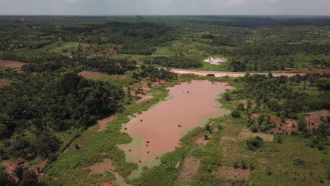 Flug-über-Bewässerte-Bauernhöfe-Und-Den-Dschungel-In-Benin