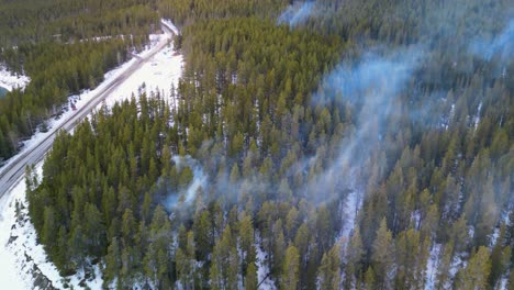 Aerial-of-forest-fire-smoke-winter---Drone-4k