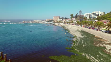 Aerial-Drone-Fly-Above-Pejerrey-Beach-Travel-Destination-in-Algarrobo-Chile-Blue-Calm-Water-with-Relaxing-Atmosphere