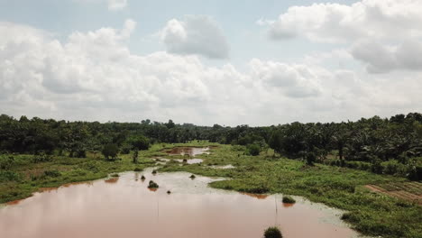 Flying-over-wetland-and-palm-tree-jungle-in-Africa-Benin