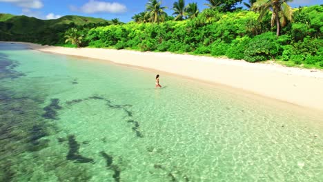 Female-in-bikini-walking-from-turquoise-water-onto-sandy-tropical-island-beach,-Yasawa,-Fiji