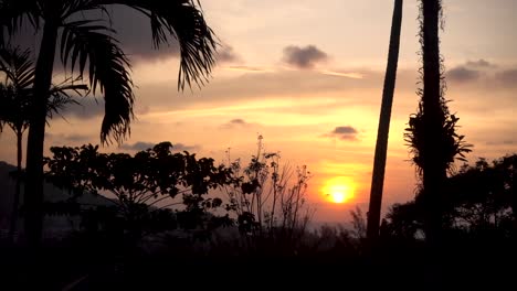 Stunning-slow-motion-scenery-over-tropical-sunset-with-palm-tree-silhouette