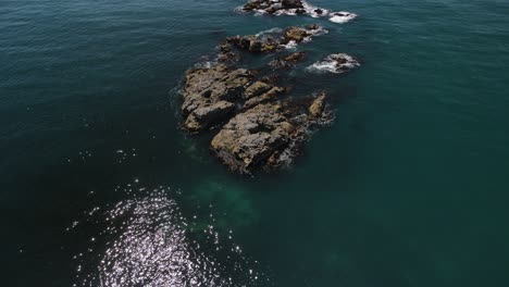 Soaring-over-a-rocky-reef-in-Kaikoura-New-Zealand
