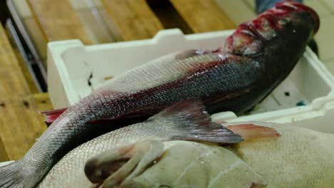 Fischhändler-Legt-Styroporkiste-Mit-Großen-Schwarzen-Und-Grauen-Fischen-Auf-Eine-Holzpalette