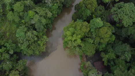 River-in-tropical-amazonic-green-rainforest,-4K-Aerial-shot