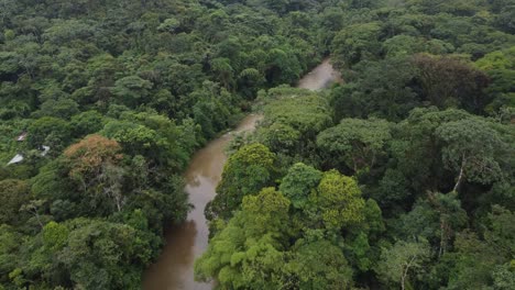 Aerial-view-river-in-tropical-amazonic-green-rainforest