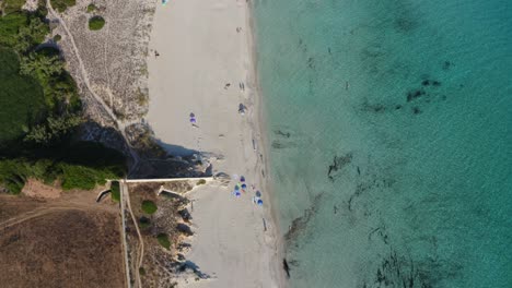 Aerial-view-of-Son-Bou-beach-in-Menorca,-Spain-with-beach-umbrellas-lining-the-white-sand