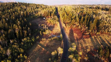 Aerial-view-of-evergreen-forests,scenic-road-drive-at-Nebo-Loop-Road,-Utah