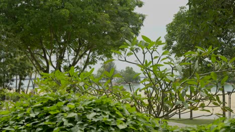 Jardines-De-La-Isla-Sentosa-En-Singapur-Toma-Panorámica-Mar-De-Fondo