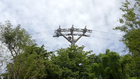 Cableway-rope-line-teleferico-Sentosa-island-Singapore-between-trees-pole-station