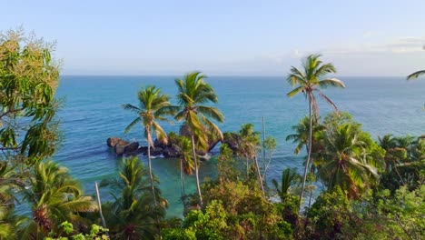 Aerial-view-over-jungle-and-palm-trees,-towards-the-tranquil-sea