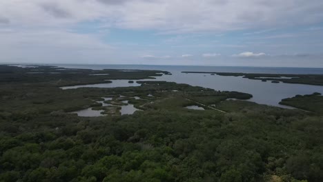 aerial-view-of-Terra-Ceia-Preserve-in-Palmetto,-Florida