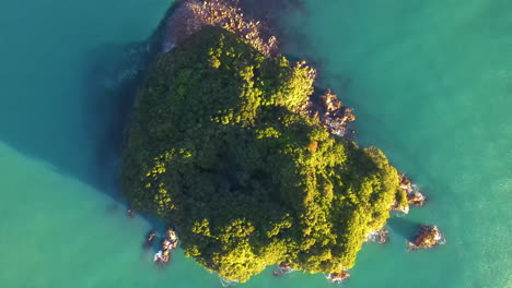 Donut-shaped-island,-wildlife-sanctuary-in-New-Zealand