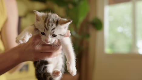 Caucasian-woman-holds-adorable-tiny-kitten-up-in-air,-shallow-focus