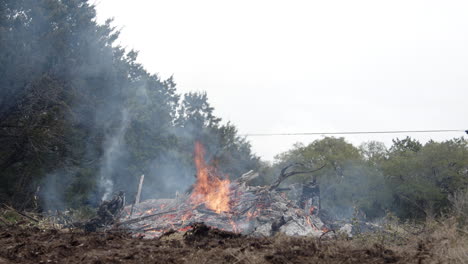 Wide-shot-f-burning-brush-pile-and-cedar-trees