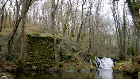 Stunning-Streaming-Waterfall-Through-Green-Wild-Nature-In-Niñodaguia-River,-Spain