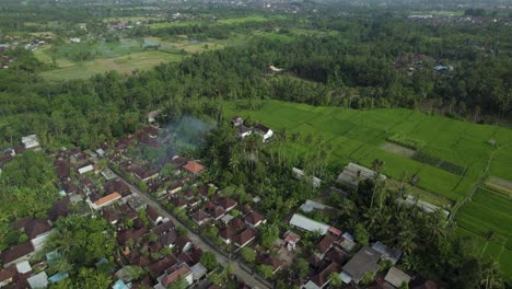 Beautiful-Landscape-of-Ubud,-Bali,-Indonesia---Aerial-Drone-View