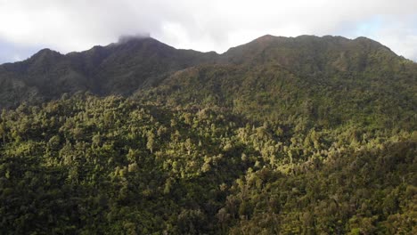 drone-shot---approaching-the-native-rainforest,-Coromandel,-New-Zealand