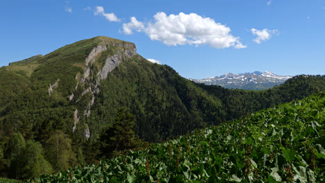 Panoramablick-Auf-Die-Landschaft-Der-Täler-Und-Wälder-Des-Kaukasusgebirges,-An-Einem-Hellen,-Sonnigen-Tag