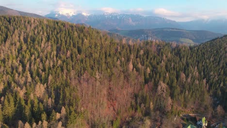 Österreichs-Wilde-Berglandschaft,-Waldbaum,-Der-Den-Berg-Bedeckt,-Goldene-Stunde,-Antenne