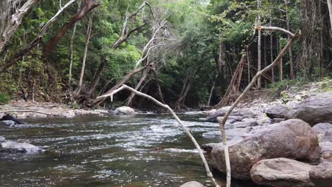 flowing-creek-looking-downstream-zooming-in