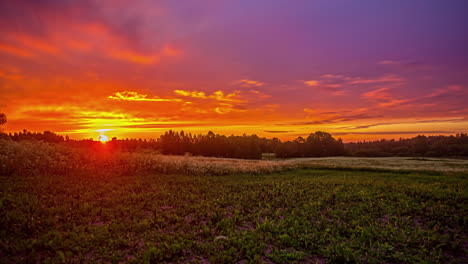 Colorful-sunrise-over-a-farmland-field-of-rapeseed-flowers---time-lapse