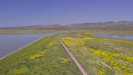 Aerial-Pull-Back-Establishing-Shot-of-Country-Road-in-Carrizo-Plain-During-the-Wildflower-Superbloom-in-California