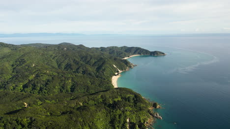 Aerial-shot-of-a-densely-populated-Abel-Tasman-National-Park-with-Anapai-Bay-near