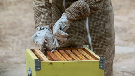 Beehive-Apiarist-worker-extracting-frame-with-bees-flying-around,-close-up