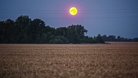 Yellow-color-full-moon-flowing-across-night-sky,-time-lapse