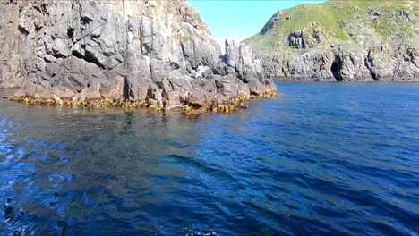 Seaweed-and-rocks-along-the-rocky-shoreline-of-Bruny-Island