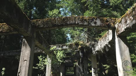 Abandoned-concrete-building-structure-covered-with-moss-and-overgrown-trees