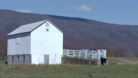 Farm-in-Appalachian-Mountains-in-fall-with-horse-and-barn
