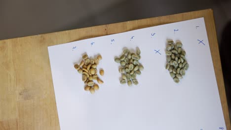 Light-brown-coffee-beans-arranged-in-piles-on-paper-with-numbers-listed-from-one-to-ten