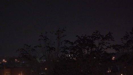 Huge-group-of-raven-in-trees-in-city-downtown-at-night