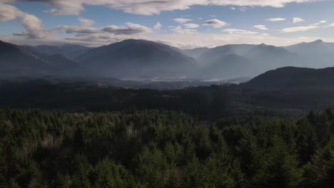 Luftbewegung-Zwischen-Zwei-Bäumen-Mit-Der-Columbia-Schlucht-Und-Dem-Wald-Im-Hintergrund