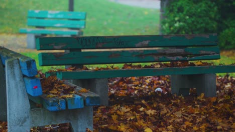 Green-park-bench-in-the-Fall-with-Leaves-falling-from-the-trees-above