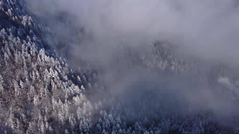 Winter-aerial-wonder:-Drone-footage-captures-the-enchanting-beauty-of-snow-covered-mountain-pines-embraced-by-misty-clouds,-a-mesmerizing-spectacle