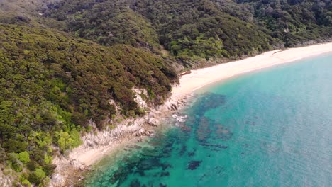 Rocky-cliff-at-Anapai-Bay-aerial-birds-eye-shot-beside-long-sandy-beach-in-contrast-to-tropical-forest-at-Abel-Tasman,-New-Zealand