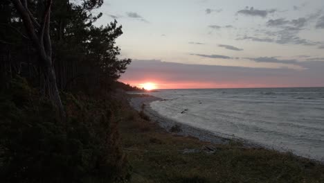 Looking-out-from-a-pine-and-fir-tree-forest-towards-a-beach-with-waves-hitting-the-shore,-sun-setting