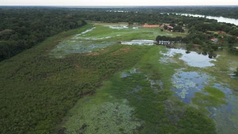 Pantanal-Porto-Jofre-Brasilien-Feuchtgebiet-Luftaufnahme