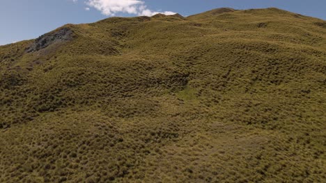 Drone-flight-up-a-steep-mountain-covered-with-golden-tussock-grass