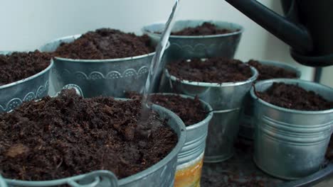 After-filling-the-pots-with-soil,-they-are-meticulously-watered-to-provide-essential-moisture-for-the-plants'-growth