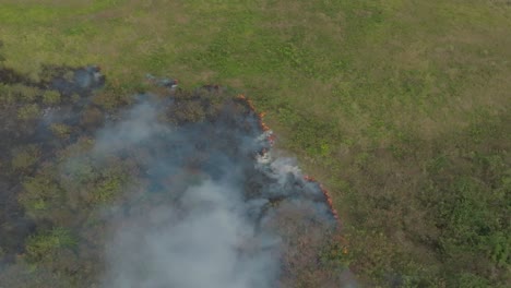 Drone-shot-of-a-forest-fire-on-an-island