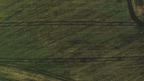 Luftaufnahme:-Drohnenaufnahmen-Von-Oben-Nach-Unten-Von-Einem-Feld-In-Jütland,-Dänemark