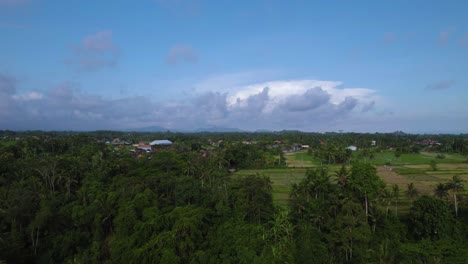 Tropical-Jungle-Forest-in-Ubud,-Bali-on-Sunny,-Blue-Sky-Day---Aerial-Rising-Establishing-Landscape