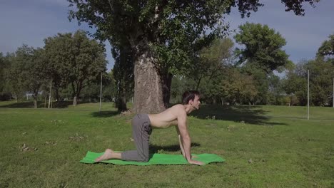 Die-Schöne-Yogalehrerin-Macht-Yogaübungen-In-Der-Natur-Und-Dehnt-Ihren-Körper-Auf-Dem-Boden,-Konzentriert-Auf-Die-Praxis