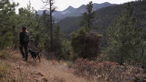 Young-man-with-ponytail-walks-dog-on-leash-on-Colorado-mtn-forest-path